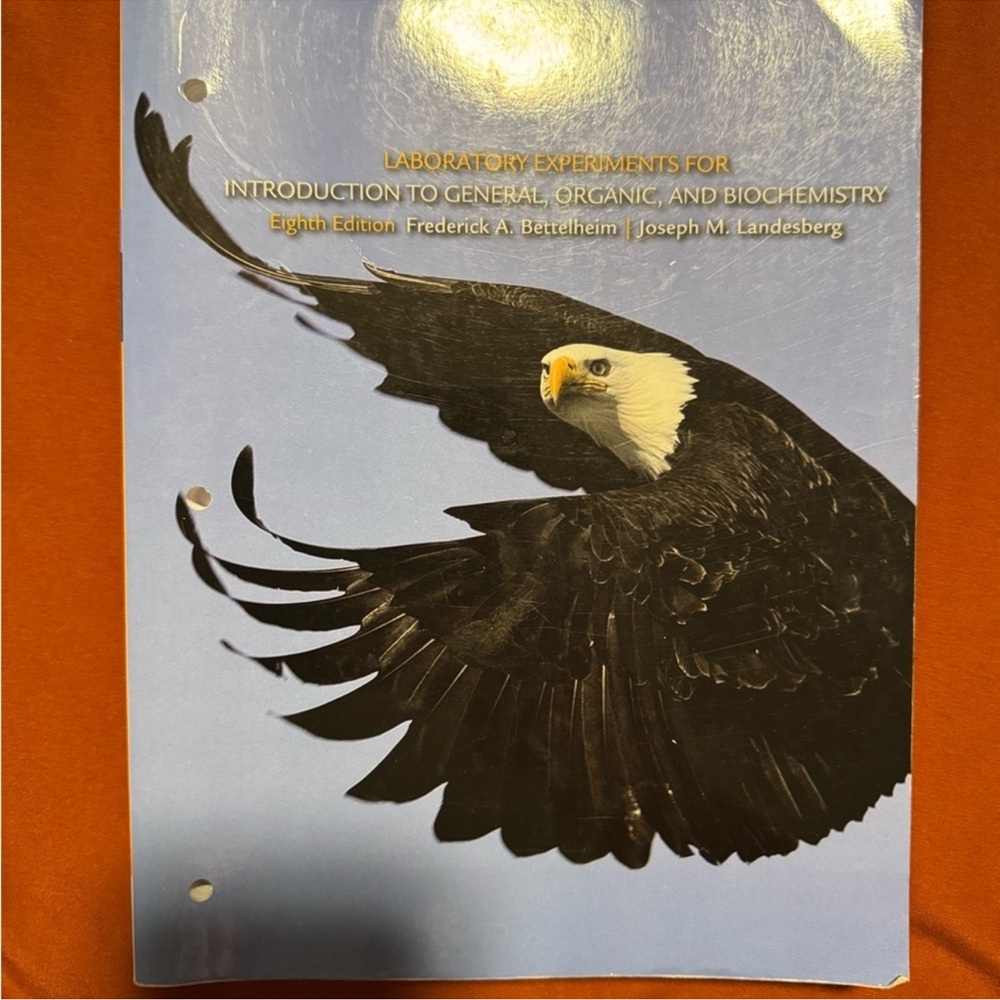 Eagle-Themed Bird Notebook